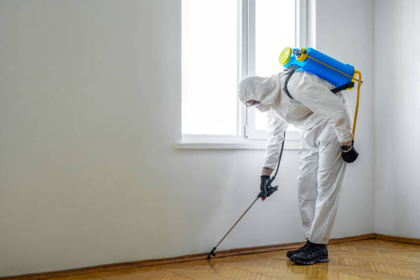 Professional Pest control in Rome, NY